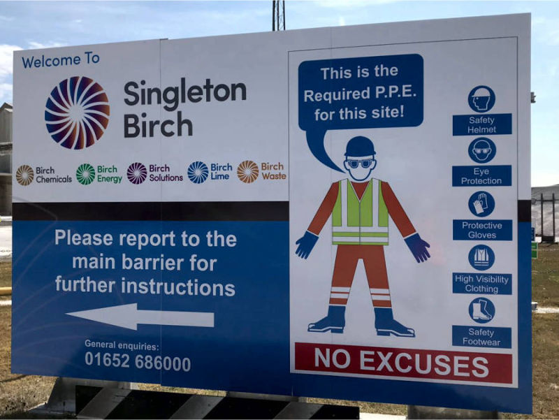 Singleton Birch - colour changing Window graphic