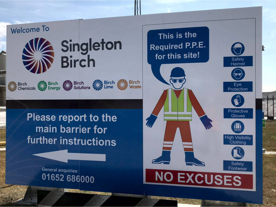Singleton Birch - colour changing Window graphic